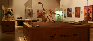 Hatching the Past: Dinosaur Eggs and Babies