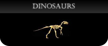 Dinosaur casts