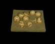 HADROSAUR EGGS