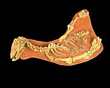BIARMOSUCHUS