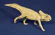 PROTOCERATOPS