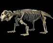 LYSTROSAURUS