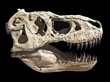 TARBOSAURUS