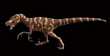VELOCIRAPTOR
