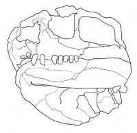 Click here for full sized image