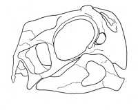 Click here for full sized image