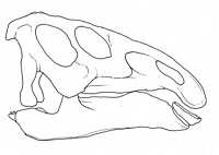 Click here for full sized image