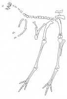 Click here for full sized image