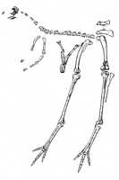 Click here for full sized image