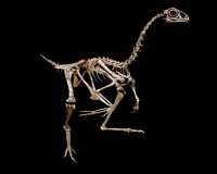 Click here for full sized image