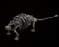 Click here for full sized image