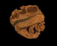 Click here for full sized image