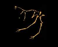 Click here for full sized image