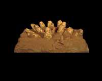 Click here for full sized image