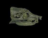 Click here for full sized image