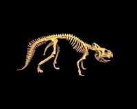 Click here for full sized image